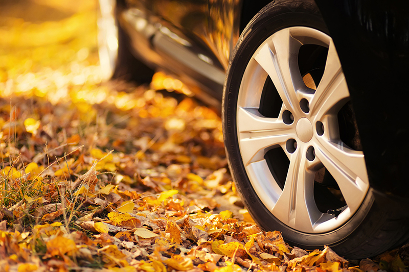 Is Your Car Insurance Updated for Fall?