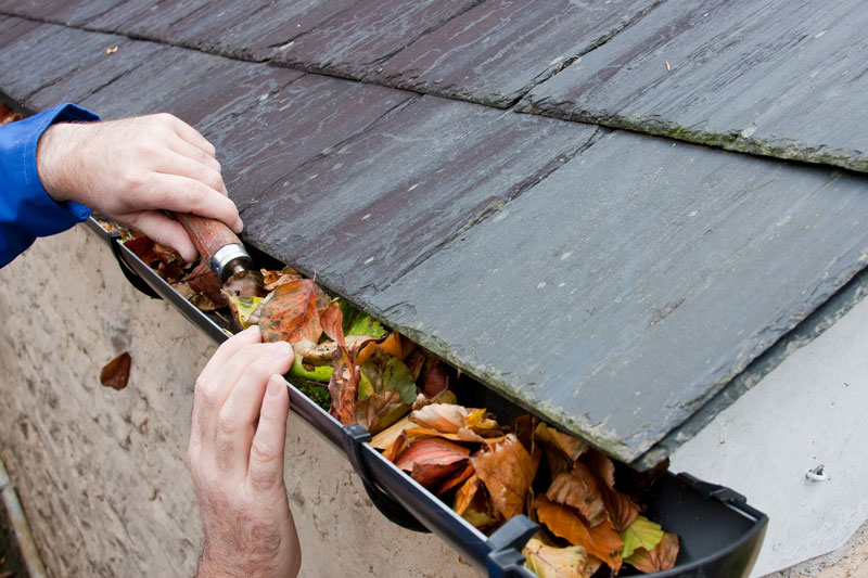 Fall Home Maintenance to Avoid Insurance Claims