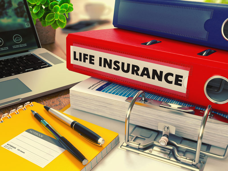 life insurance folder