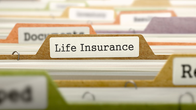 life insurance policy folder