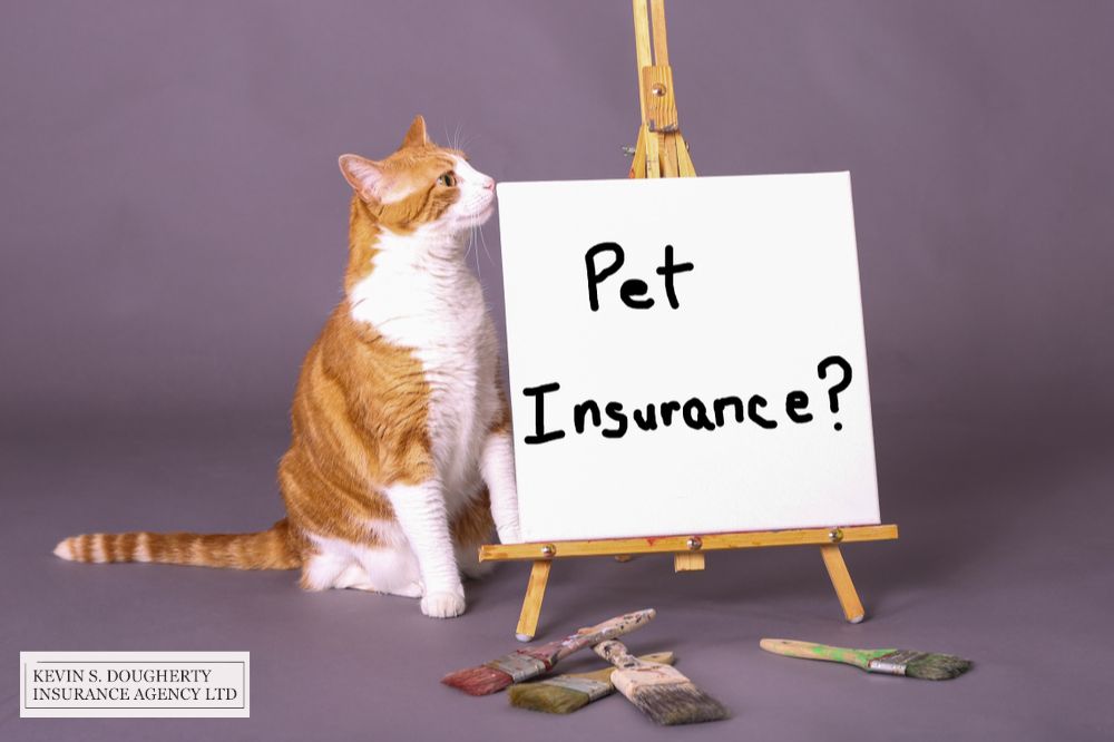 Tips for finding pet insurance policy