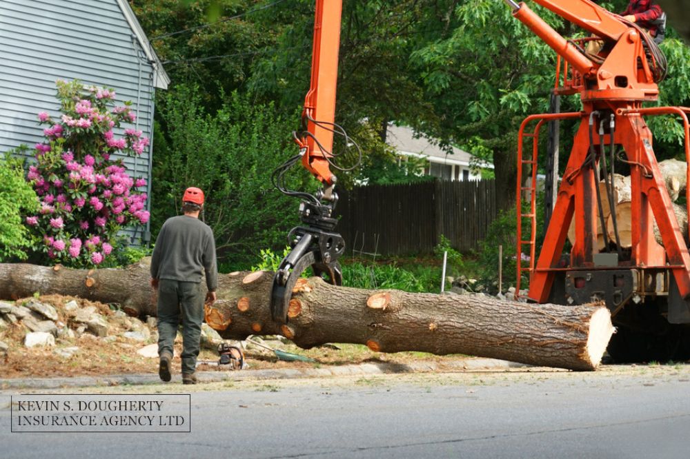 Is tree removal service included in homeowners insurance?